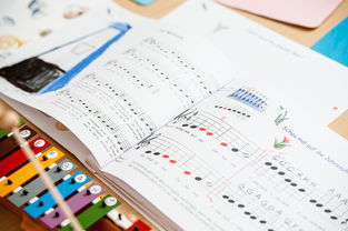 米兰体育官方网站APP下载-中小学体育教师继续教育体系建设与实施研究，小学体育继续教育考试试题及答案